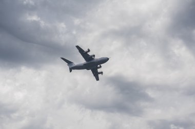 yolcu uçağı, sinek