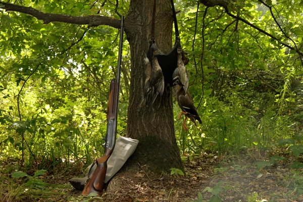 Охота, дичь, ружье, дрова Стоковое Изображение