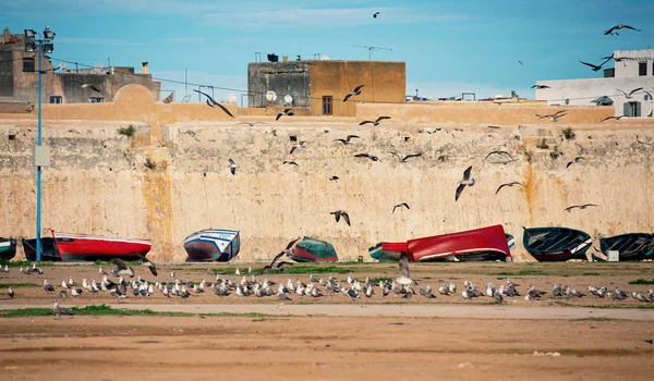Image d'un vieux port au Maroc, image tonique — Photo