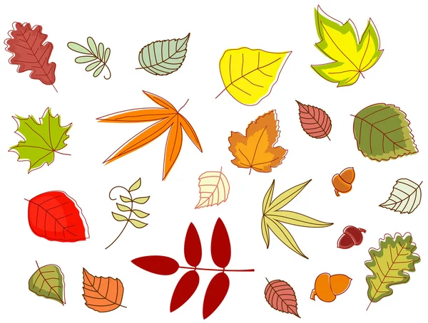 Autumnal colorful leaves — Stock Vector