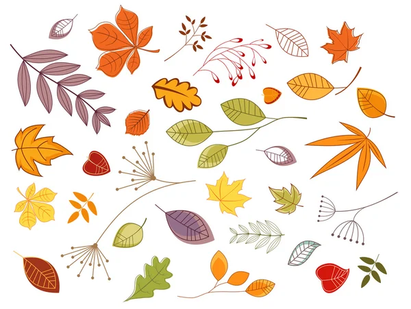 Autumnal leaves and plants — Stock Vector