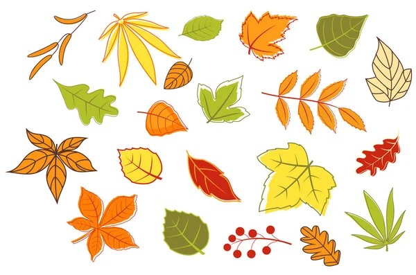Πολύχρωμο Φθινοπωρινά φύλλα και φυτά — Διανυσματικό Αρχείο