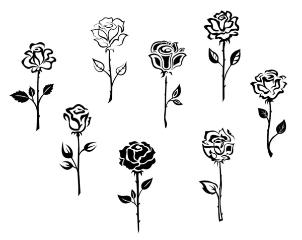 Flores de rosa — Vector de stock