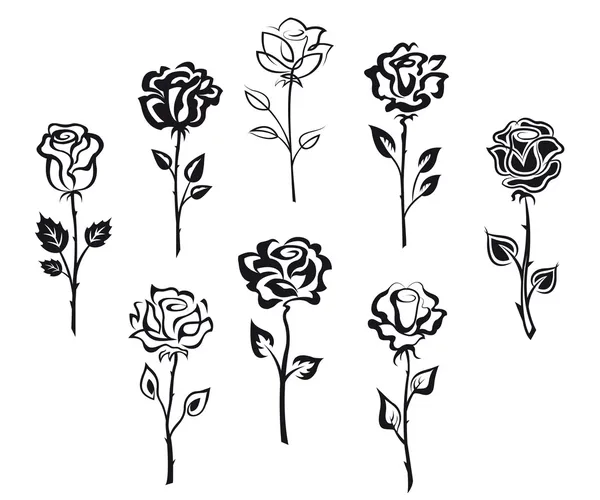 Conjunto de flores de rosa — Vector de stock