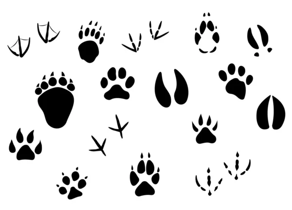Fußabdrücke und Spuren von Tieren — Stockvektor
