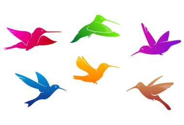 sinek kuşlarının sembolleri