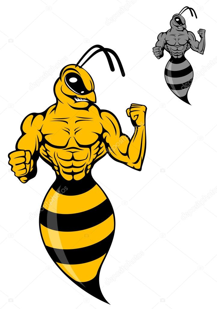 Powerful wasp or yellow hornet