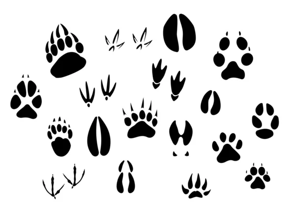 Animal footprints silhouettes — Stock Vector