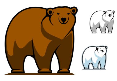 komik karikatür ayı maskot