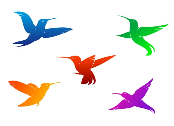 Flying hummingbirds — Stock Vector