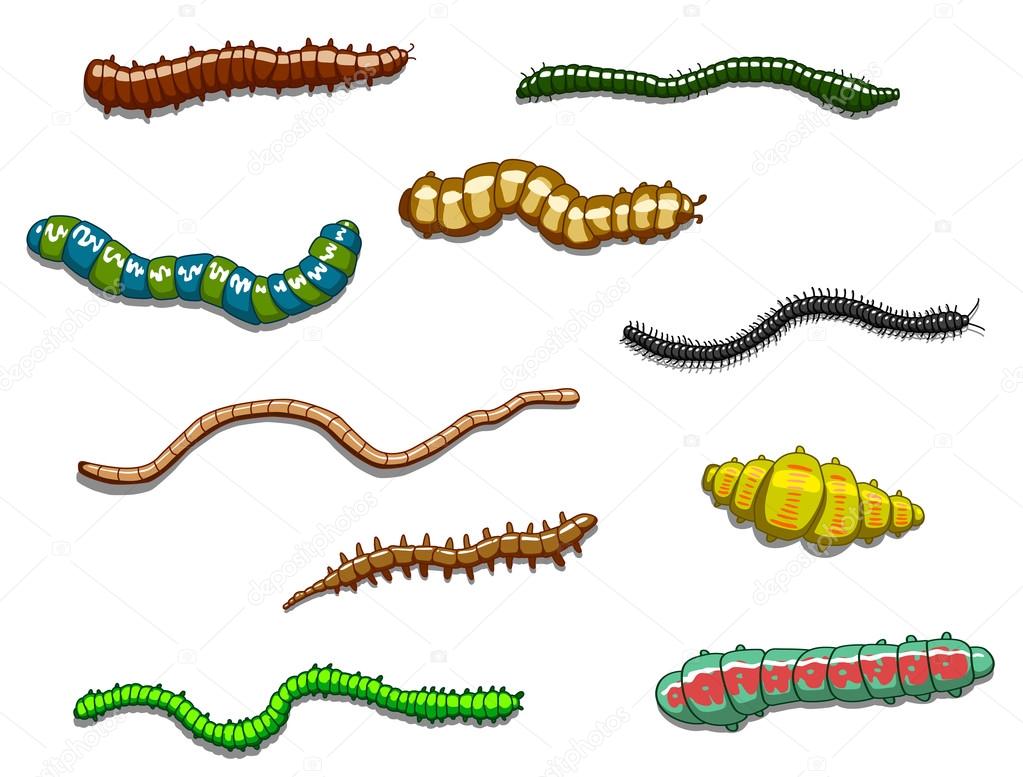 100,000 Worm Vector Images