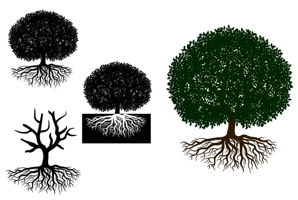 Großer Baum mit Wurzeln — Stockvektor