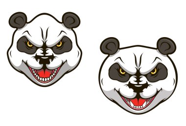 kızgın ayı panda