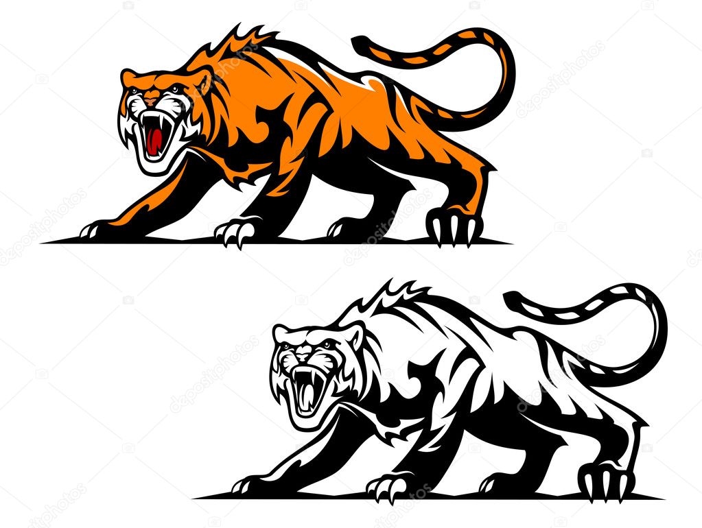 Aggressive tiger in hunting pose for mascot design