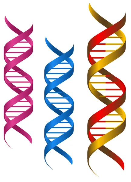 DNA ögeleri — Stok Vektör