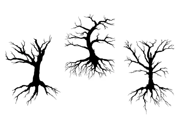 Arbres morts avec tige et racines — Image vectorielle