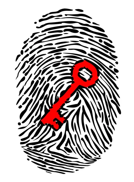 Fingerprint and key — Stock Vector