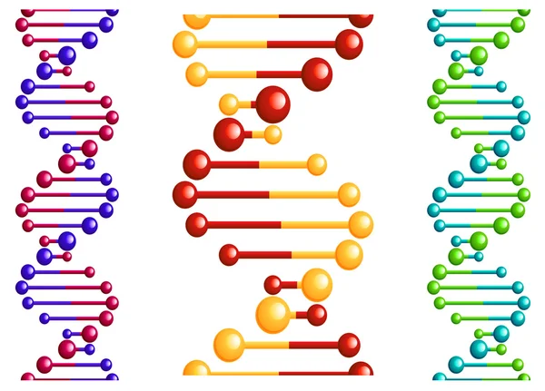 Dna 分子与元素DNA-molekylen med inslag — 图库矢量图片