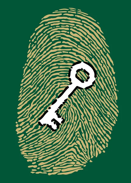 Fingerprint and security key — Stock Vector