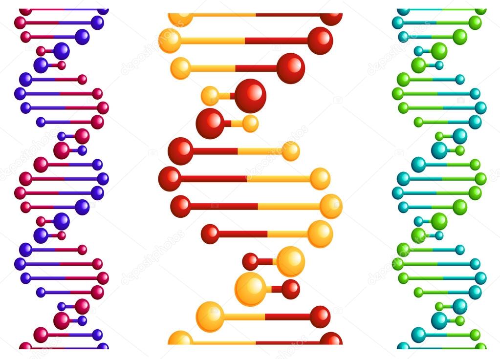 DNA molecule with elements
