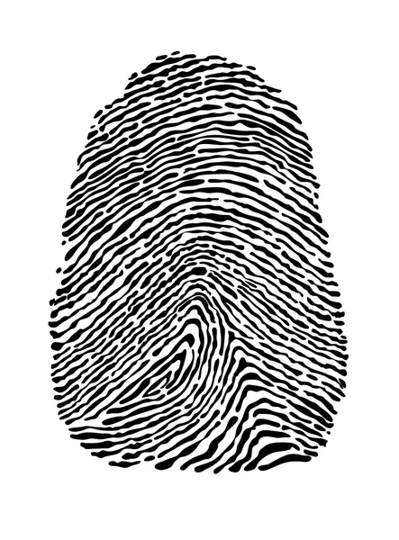 Fingerprint — Stock Vector