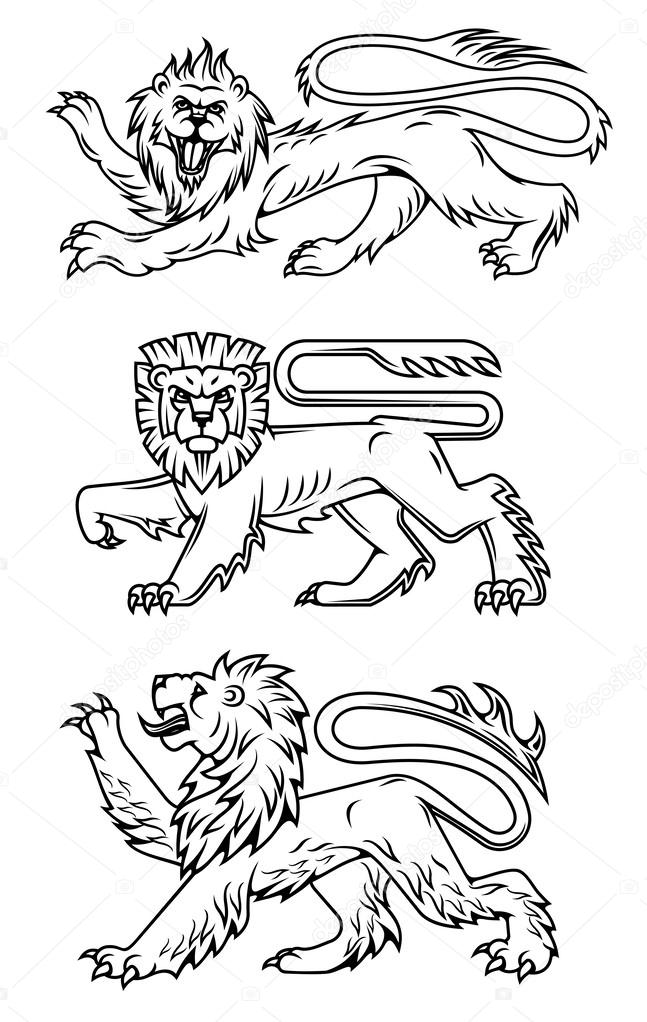 Powerful lions and predators