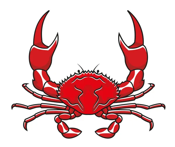 Rote Krabbe — Stockvektor