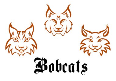 Bobcats ve lynxs