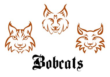 Bobcats and lynxs clipart