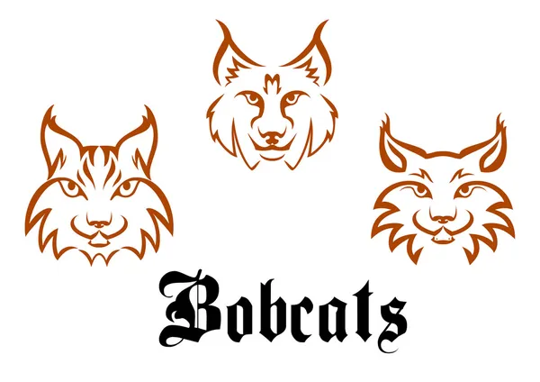 Bobcats and lynxs — Stock Vector