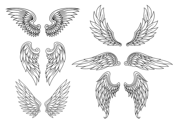 Heraldic wings set — Stock Vector