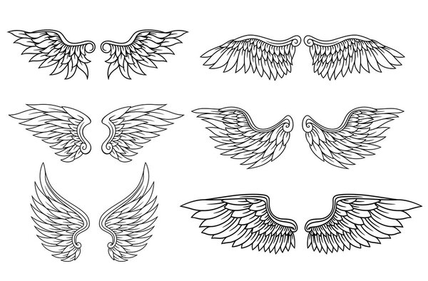 Набор крыльев орла или ангела
