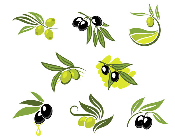 Зеленые и черные оливки
