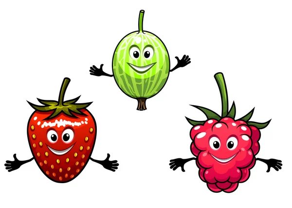 Gooseberry, raspberry and strawberry berries — Stock Vector