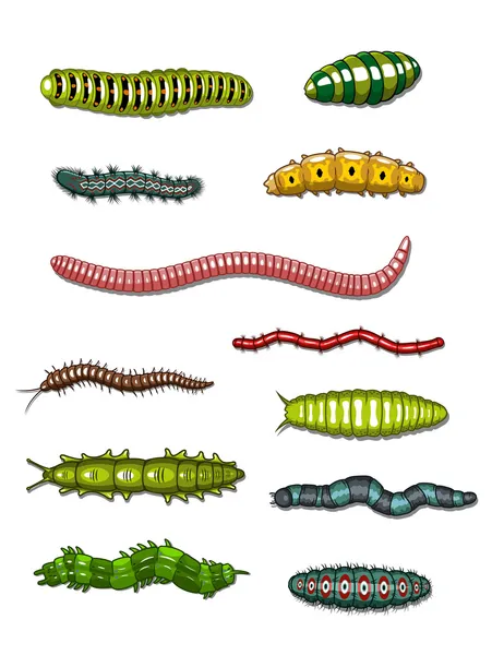 Caterpillars and worms — Stock Vector