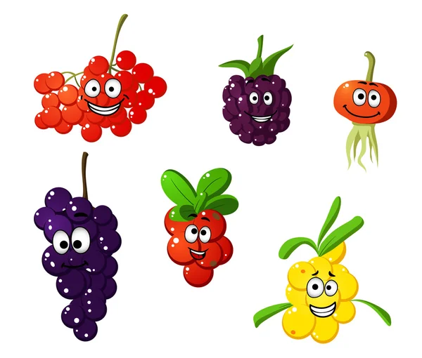 Cranberry, blackBerry, rowan, cherry, grape and sea-buckthorn be - Stok Vektor