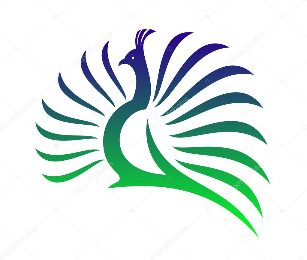 Beautiful stylised vector peacock with its tail feathers opened in a mating display in shades of green and blue on a white background