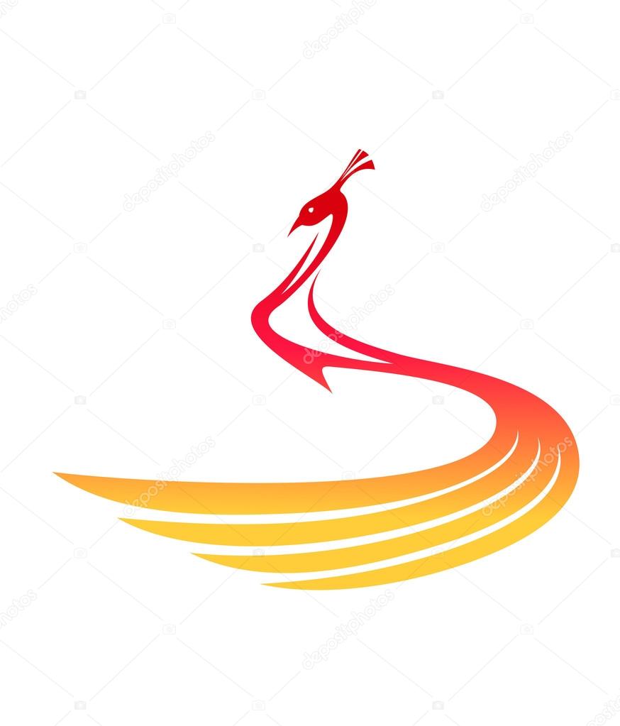 Beautiful flowing stylized peacock in shades of red and golden yellow, modern vector illustration on white