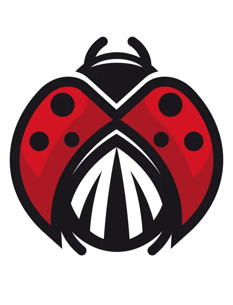 Coccinelle ou coccinelle rouge et noire — Image vectorielle