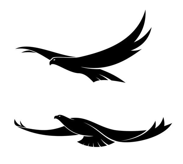 Two graceful flying birds — Stock Vector