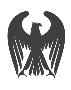 görkemli kartal veya Şahin uzun kanat tüyleri ile