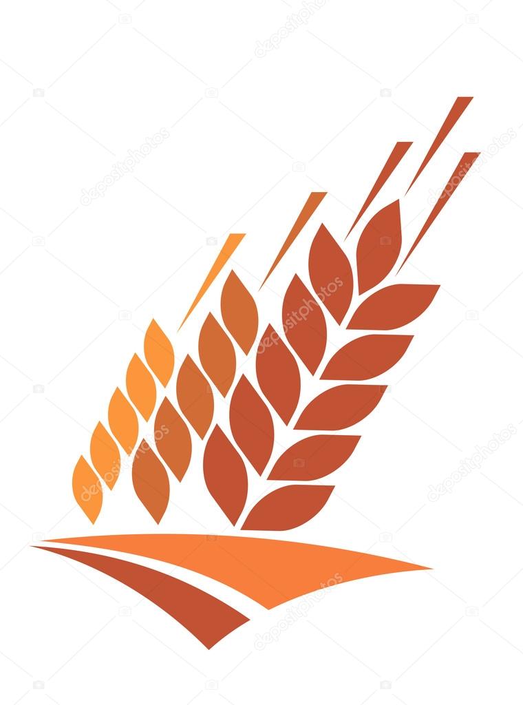 Agriculture icon with a field of golden ripe ears of wheat providing a staple dietary grain and animal feed, vector illustration isolated on white