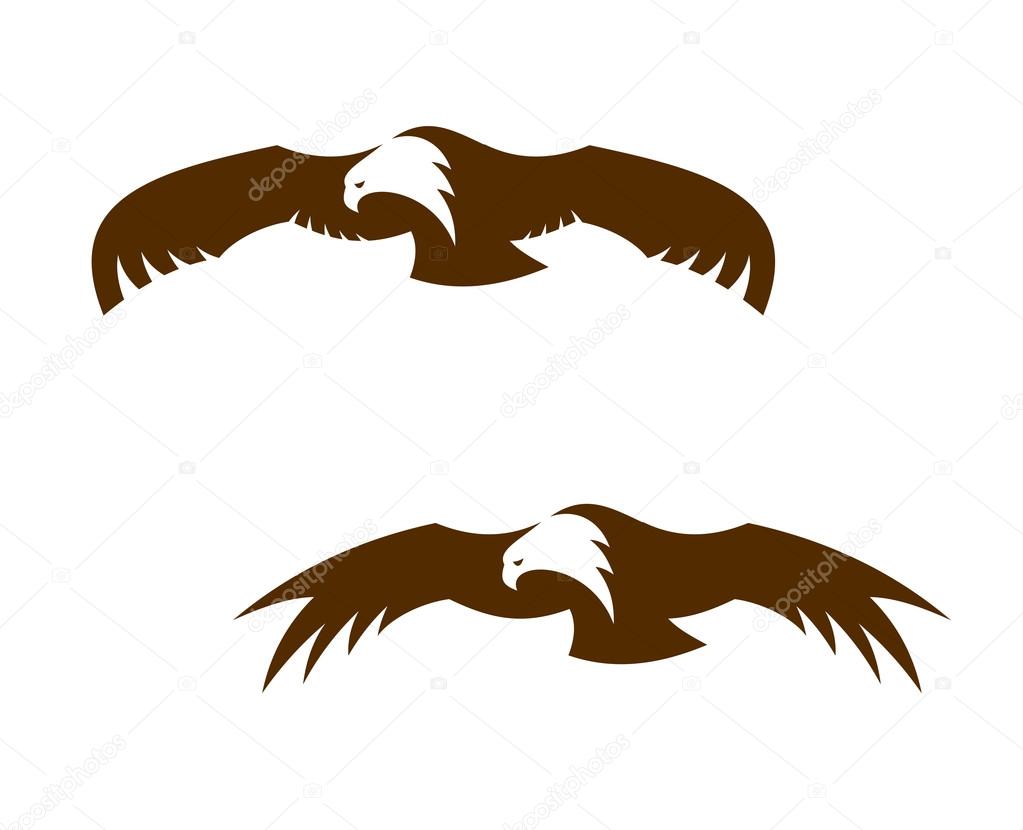 Two flying eagles with outspread wings