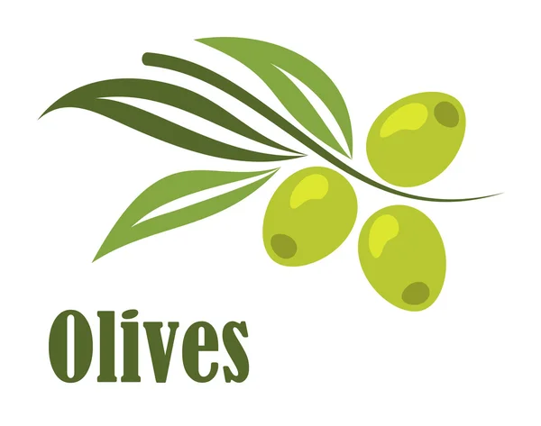 Oddział zielone oliwki — Wektor stockowy
