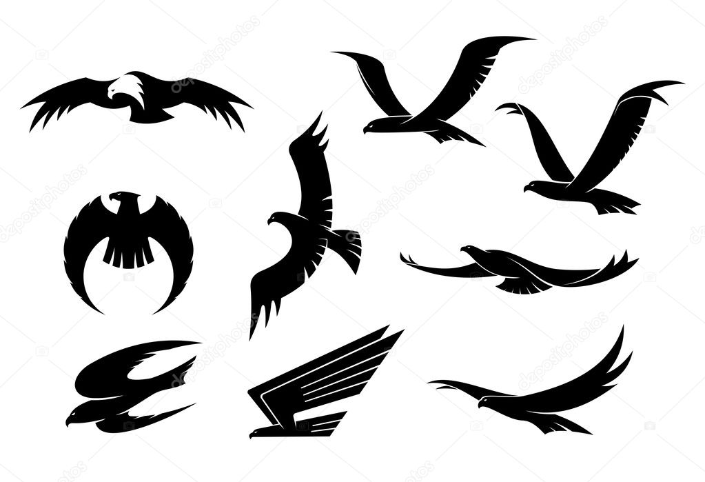 Silhouette set of flying eagles, hawks, falcons and another birds for heraldry or mascot design