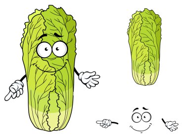 sağlıklı yapraklı karikatür Çin Lahanası sebze