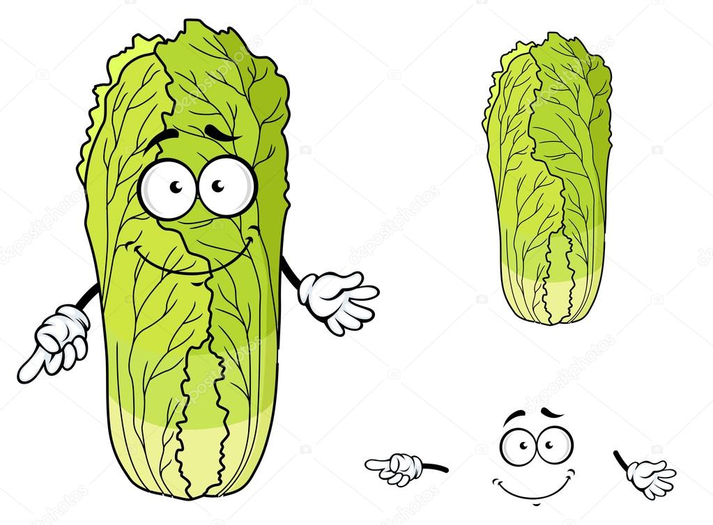 Healthy leafy cartoon Chinese cabbage vegetable