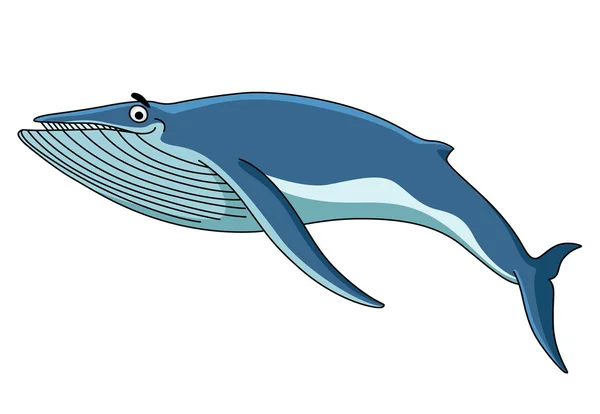 Big blue baleen whale — Stock Vector