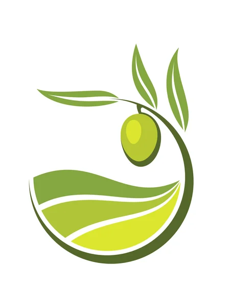 Olives vertes fraîches avec des notes d'huile d'olive — Image vectorielle