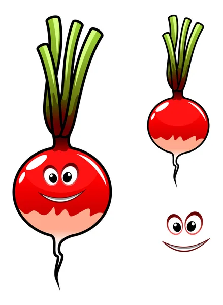 Radis frais légumes — Image vectorielle